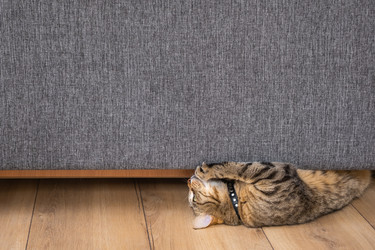 Similar image 22607837