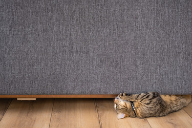 Similar image 22607885