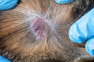 Similar image 22603169