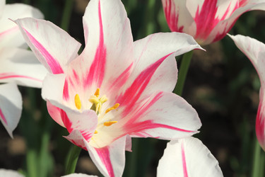 Similar image 22597608