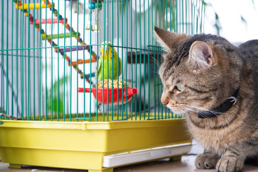 Similar image 22603193