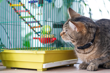 Similar image 22603225