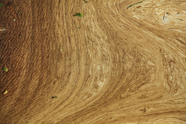 Similar image 22598000