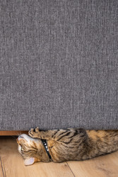 Similar image 22607375