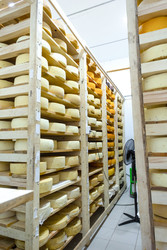 Similar image 22607736