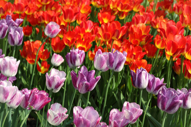 Similar image 22597116