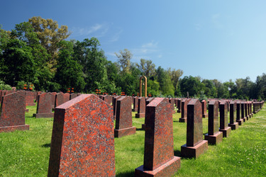 Similar image 22597911