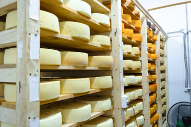 Similar image 22607355