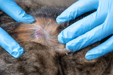 Similar image 22607543