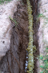 Similar image 22607888