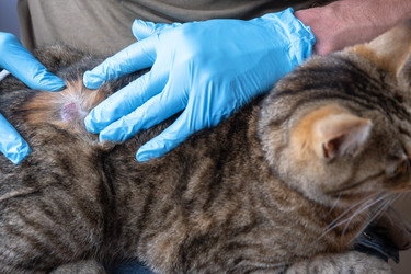 Similar image 22603228