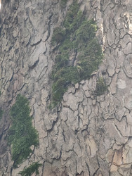 Similar image 22597555