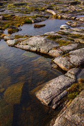 Similar image 22602257