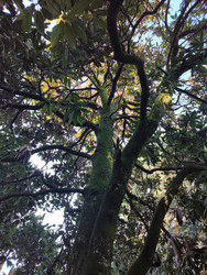 Similar image 22597556