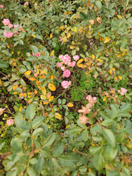 Similar image 22597557