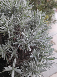 Similar image 22597558