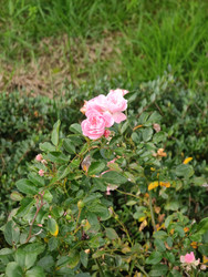 Similar image 22597559