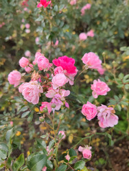 Similar image 22597562