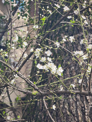 Similar image 22597535