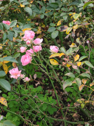 Similar image 22597536