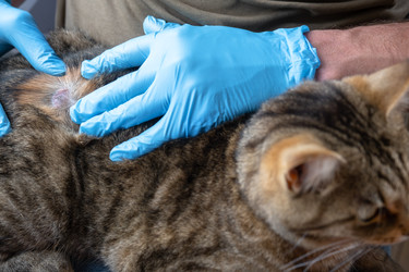 Similar image 22599429