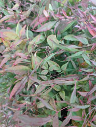 Similar image 22597538