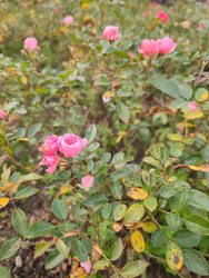 Similar image 22597541