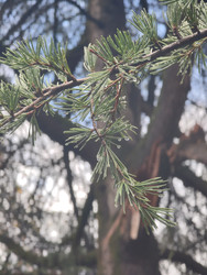 Similar image 22597542