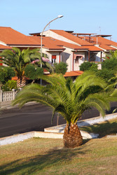 Similar image 22599810