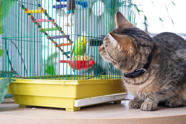 Similar image 22599434