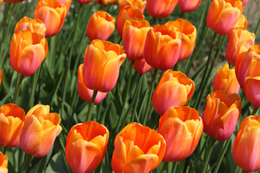 Similar image 22597087