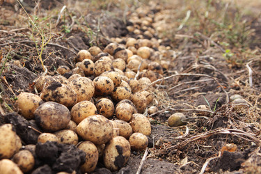 Similar image 22608085