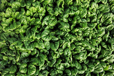 Similar image 22611834