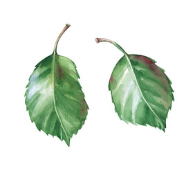 Similar image 22600108