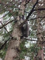 Similar image 22610882