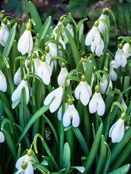 Similar image 22610757