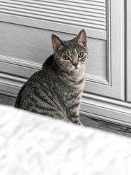 Similar image 22610758