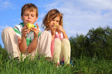 Similar image 22600466