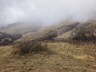 Similar image 22631442