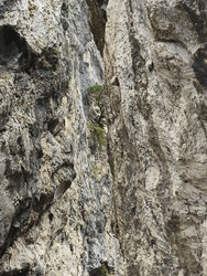 Similar image 22631443