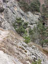 Similar image 22631444