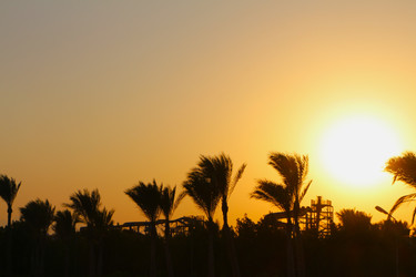 Similar image 22600137