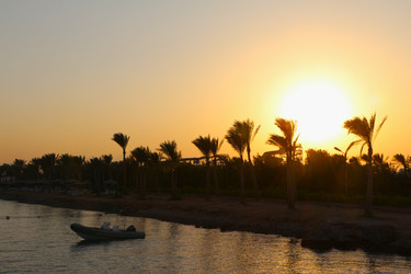 Similar image 22600139