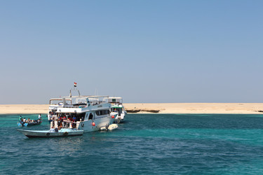 Similar image 22600140