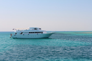 Similar image 22600142