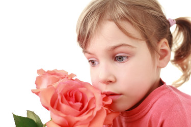 Similar image 22601111