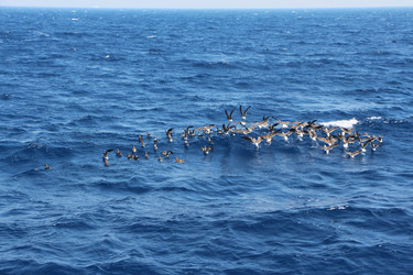 Similar image 22600226