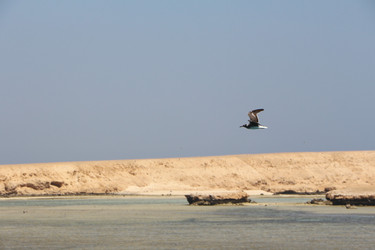 Similar image 22600123