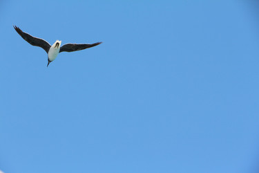 Similar image 22600153