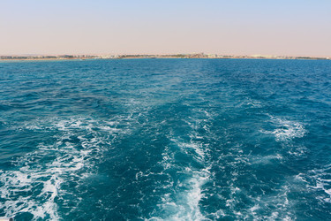 Similar image 22600154